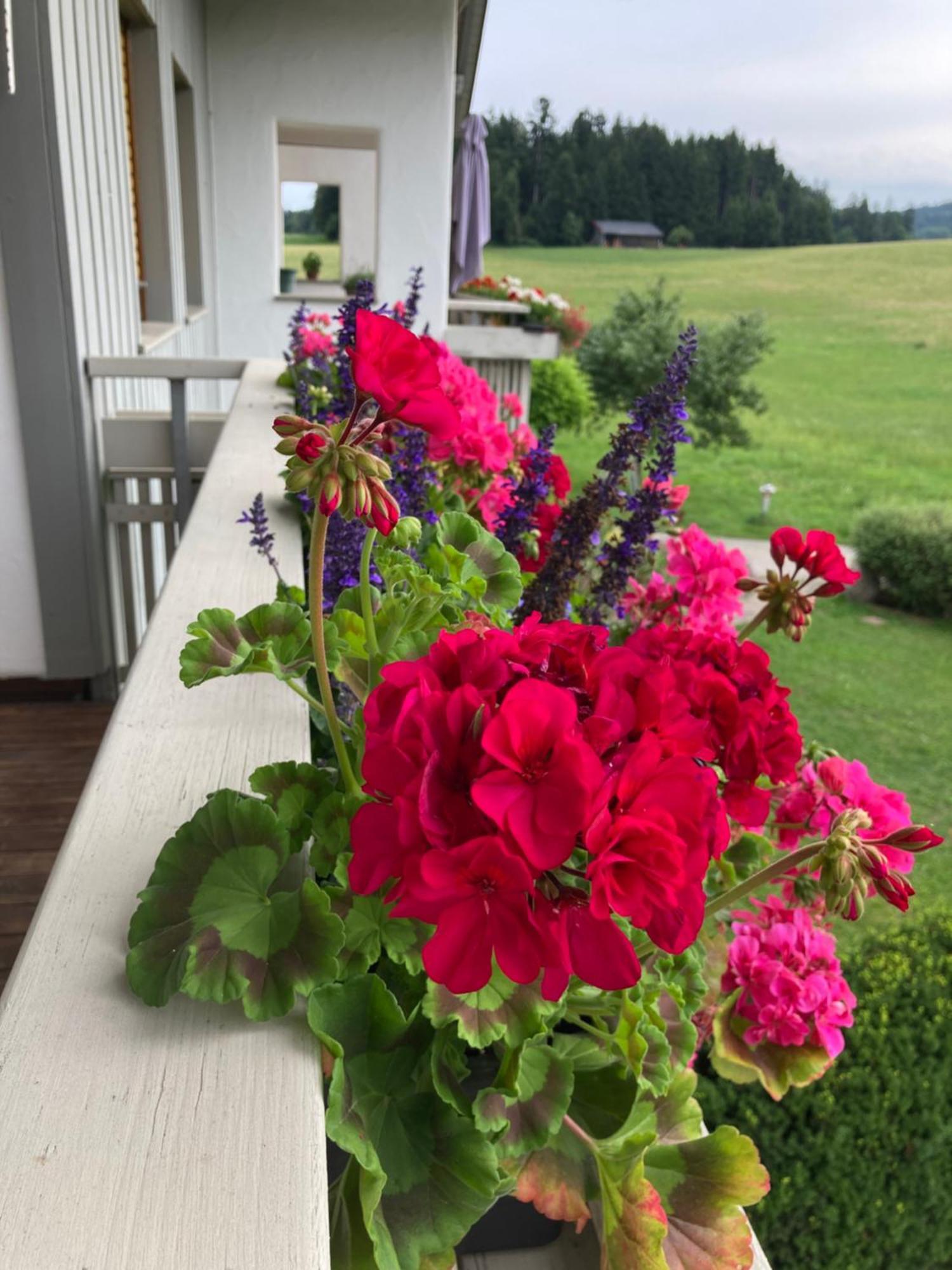 Ferienwohnungen Allgaeu-Bodensee Sigmarszell Eksteriør bilde